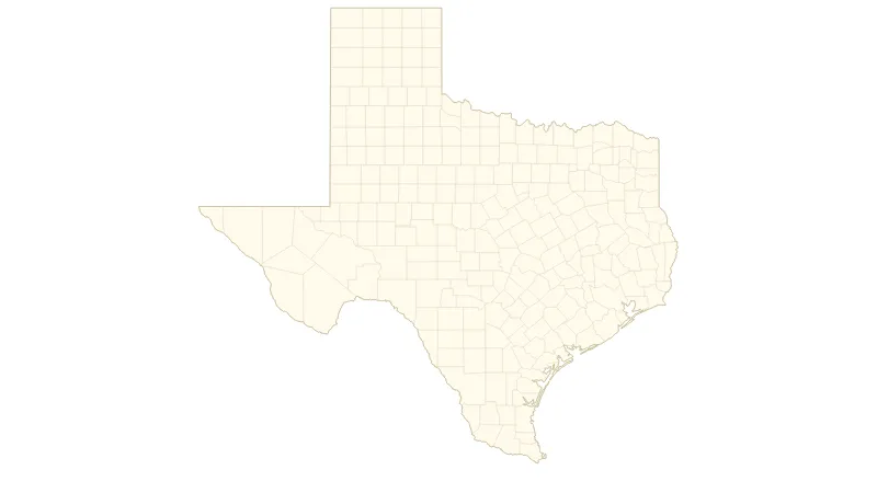 texas my election