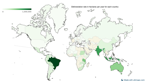 Map of the world divided by countries (without the Antarctica)
